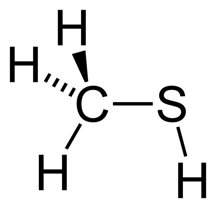 Methanethiol httpsuploadwikimediaorgwikipediacommons77