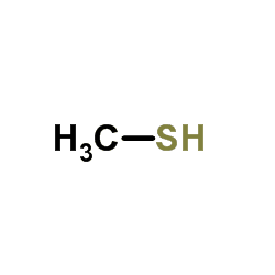 Methanethiol Methanethiol CH4S ChemSpider