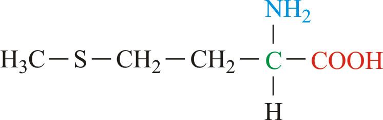 Methionine Methionine Chemistry Dictionary amp Glossary