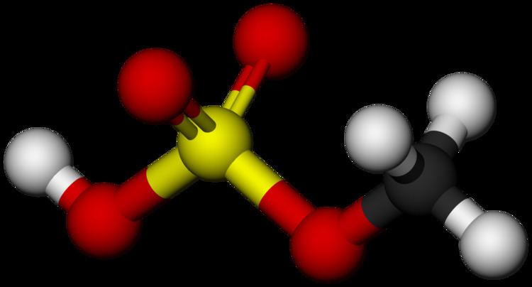 Methyl bisulfate httpsuploadwikimediaorgwikipediacommonsthu