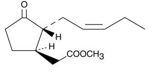 Methyl jasmonate Methyl Jasmonate CAS 39924522 SCBT
