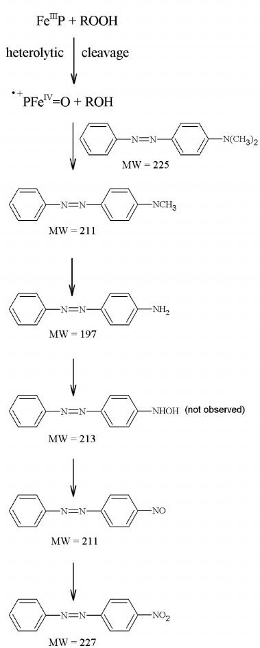 Methyl yellow Proposed scheme for methyl yellow MY oxidation by TBHP Figure
