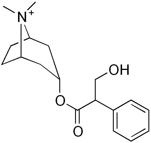 Methylatropine httpsuploadwikimediaorgwikipediacommons88