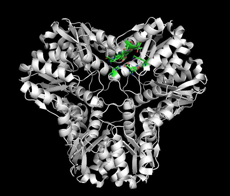Methylglyoxal synthase