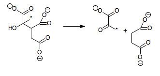 Methylisocitrate lyase