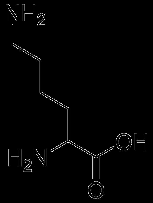 Methyllysine httpsuploadwikimediaorgwikipediacommonsthu