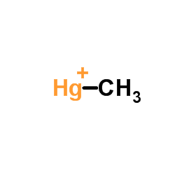 Methylmercury Methylmercury CH3Hg ChemSpider