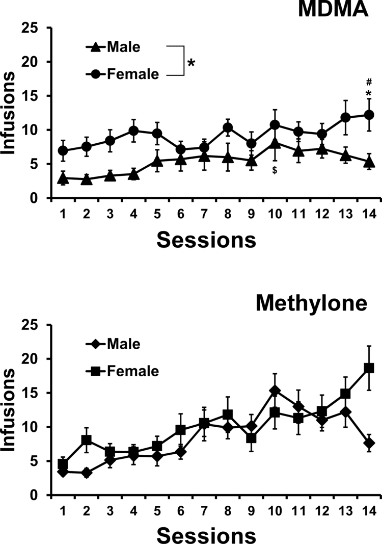 Methylone Methylone TL neuro