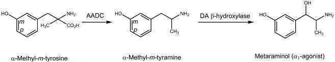 Metirosine How To Number The Structure Of Reserpine Pharmaceutical Chemistry