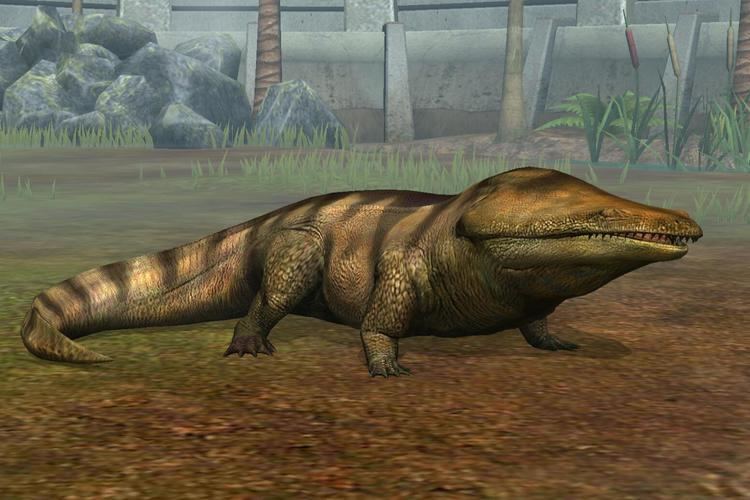 Metoposaurus Metoposaurus Stats