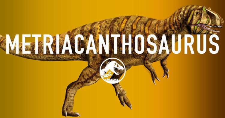Metriacanthosaurus Metriacanthosaurus