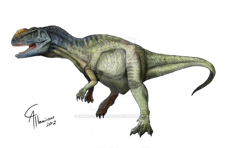Metriacanthosaurus Metriacanthosaurus Facts and Pictures