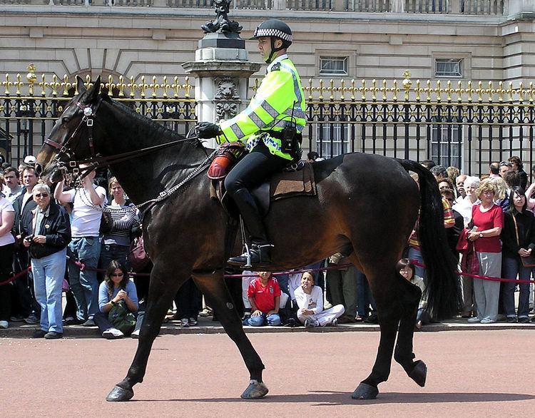 Metropolitan Police Mounted Branch