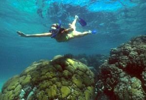 Mexico Rocks Mexico Rocks Half Day Snorkeling Tour Ambergris Divers