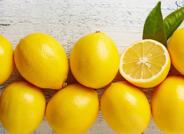 Meyer lemon How To Safely Transition Meyer Lemon Trees Outdoors FastGrowing