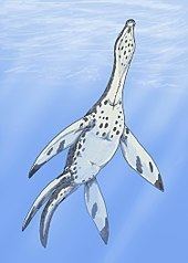 Meyerasaurus httpsuploadwikimediaorgwikipediacommonsthu