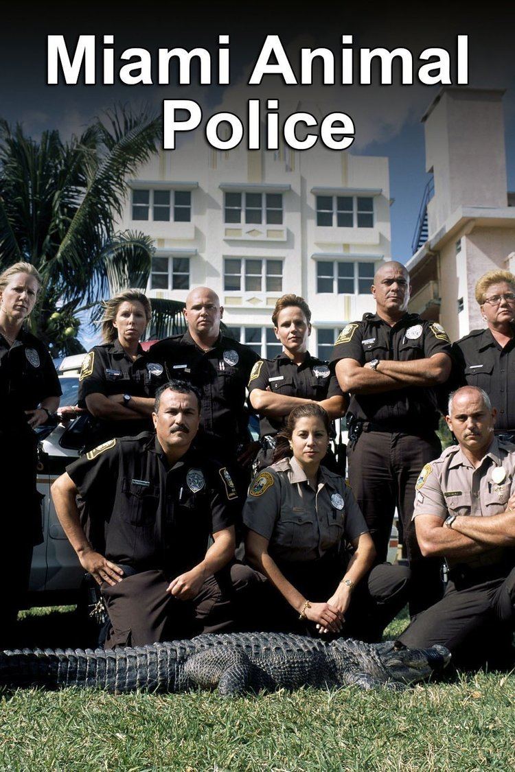 Miami Animal Police wwwgstaticcomtvthumbtvbanners185345p185345