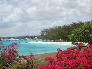 Miami Beach, Barbados httpsuploadwikimediaorgwikipediacommonsthu