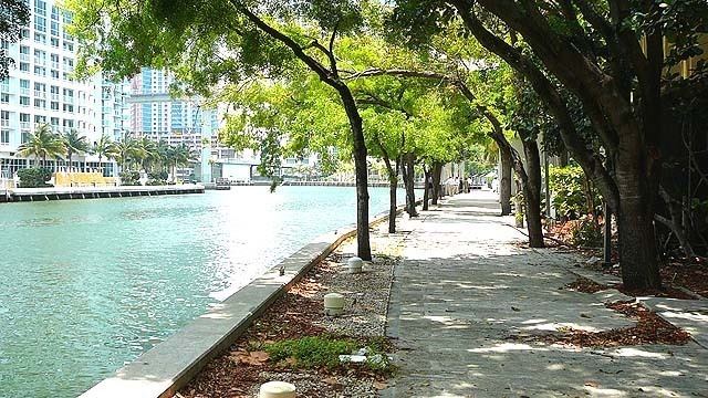 Miami Riverwalk Chetrit Put Down 975 Million in Miami Riverwalk Jewish Business
