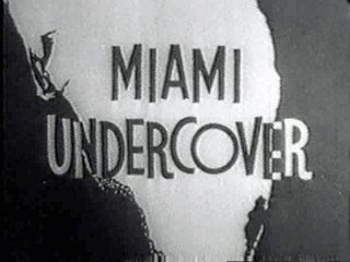 Miami Undercover wwwjillcoreynetALogojpg