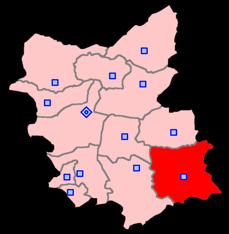 Mianeh (electoral district)