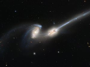 Mice Galaxies - Alchetron, The Free Social Encyclopedia