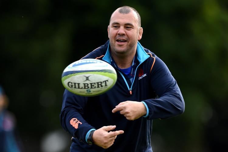 Michael Cheika Video Michael Cheika offered Wallaby job Sport 3 News