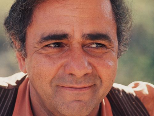 Michael Constantine with a tight-lipped smile while eyes looking away, with curly hair, wearing a black striped vest over an orange long sleeves.