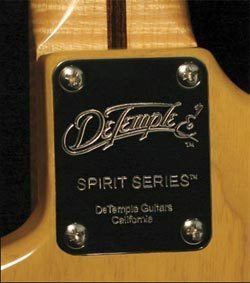 Michael DeTemple Review Michael DeTemple Spirit Series Guitar