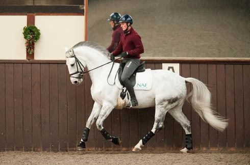 Michael Eilberg Michael Eilberg39s 10 training tips hot horses Horse amp Hound