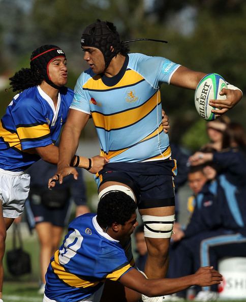 Michael Fatialofa Michael Fatialofa Pictures Schoolboy 1st XV Mt Albert