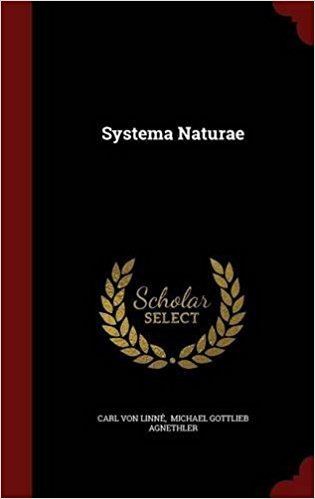 Michael Gottlieb Agnethler Systema Naturae Carl von Linn Michael Gottlieb Agnethler