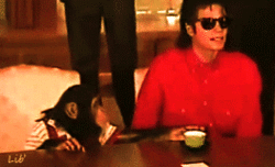 Michael Jackson and Bubbles Bubbles the Chimp images MJ39s pet Bubbles Jackson and Michael