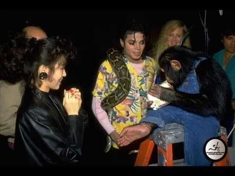 Michael Jackson and Bubbles MICHAEL JACKSON AND BUBBLES RARE PHOTOS YouTube