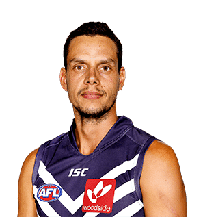 Michael Johnson (Australian rules footballer) saflcomaustaticfileAFL20TenantFremantlePla