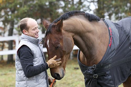 Michael Jung (equestrian) Michael Jung talks about training eventing horses The