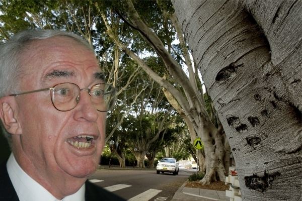Michael McHugh Fig tree mediation collapses McHugh backs out Newcastle Herald