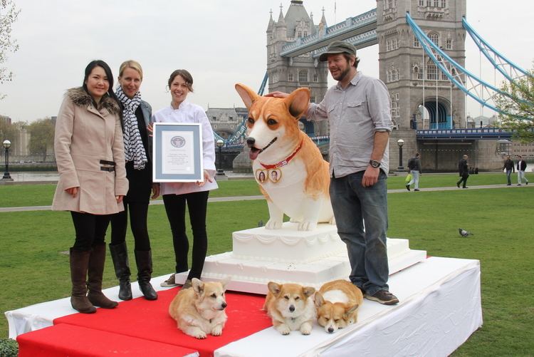 Michelle Wibowo World Record with Dogfriendly Corgi Wedding Cake