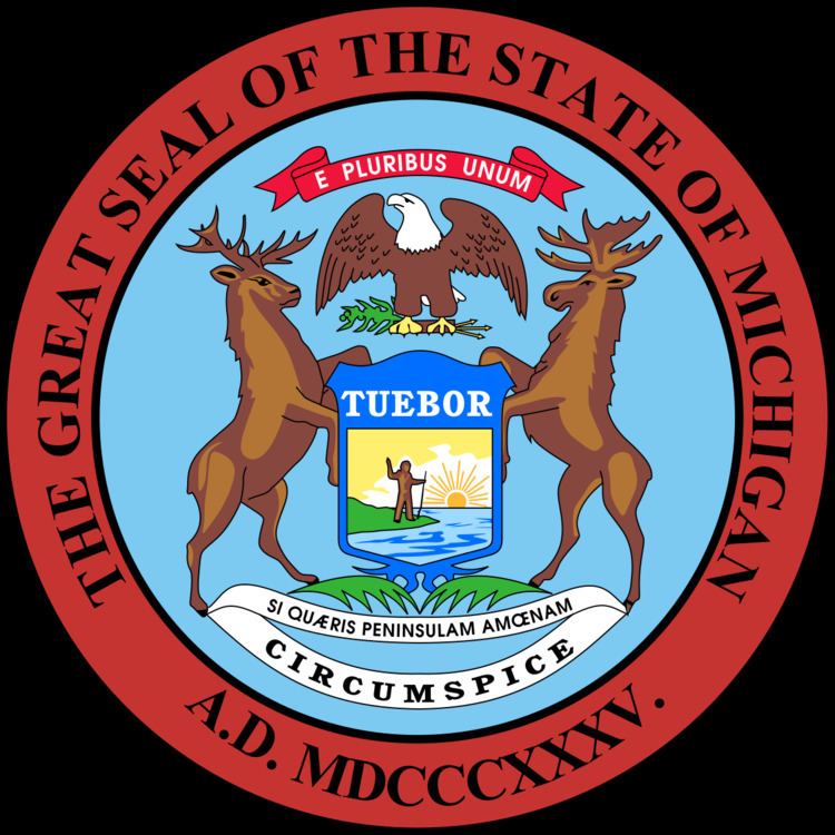 Michigan gubernatorial election, 2018
