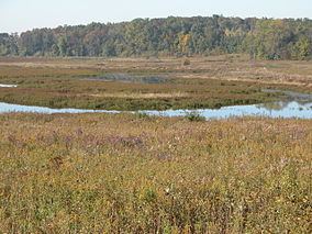 Michigan Wetland Management District httpsuploadwikimediaorgwikipediacommonsthu