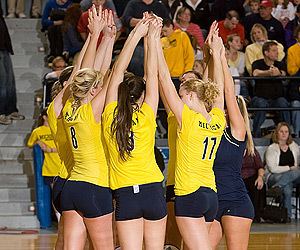Michigan Wolverines women's volleyball graphicsfansonlycomphotosschoolsmichsportsw