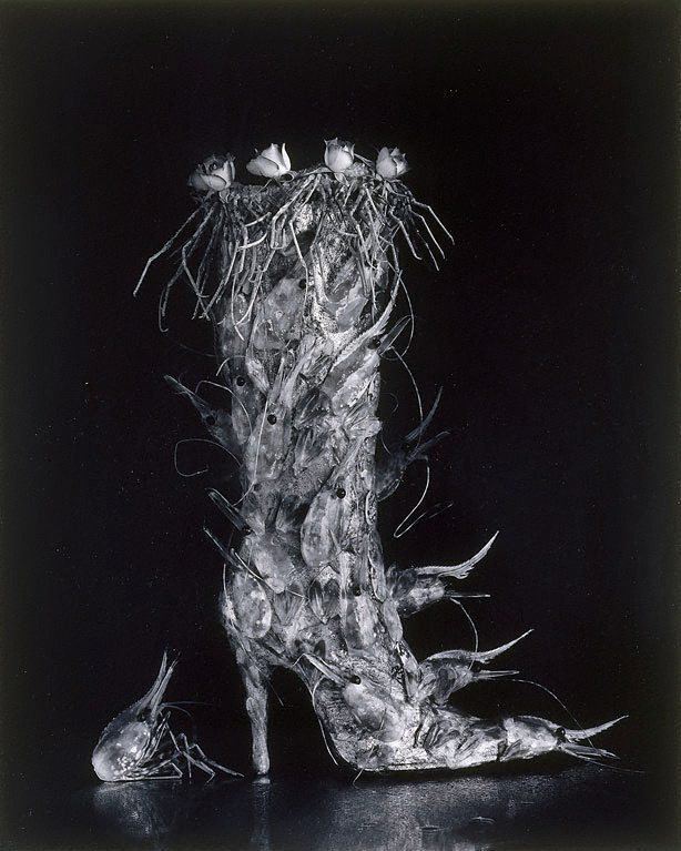 Michiko Kon Boot of shrimps 1995 by Michiko Kon The Collection