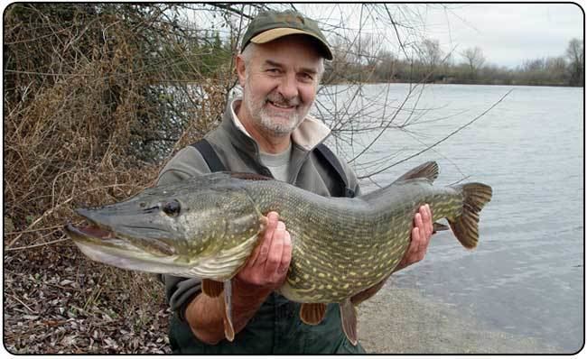 Mick Brown (angler) Mick Browns Top Five Deadbaiting Tips UK Match Angler