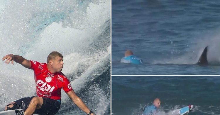 Mick Fanning Surfer punched shark like Mick Fanning to escape attack in