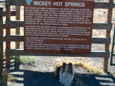 Mickey Hot Springs Mickey Hot Springs Hot Springs on Waymarkingcom