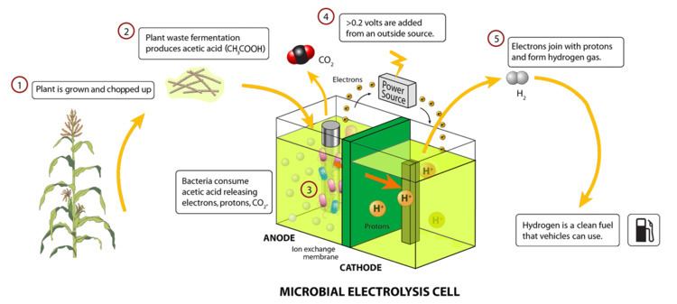 Microbial electrolysis cell