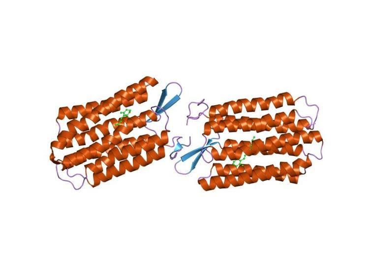 Microbial rhodopsin