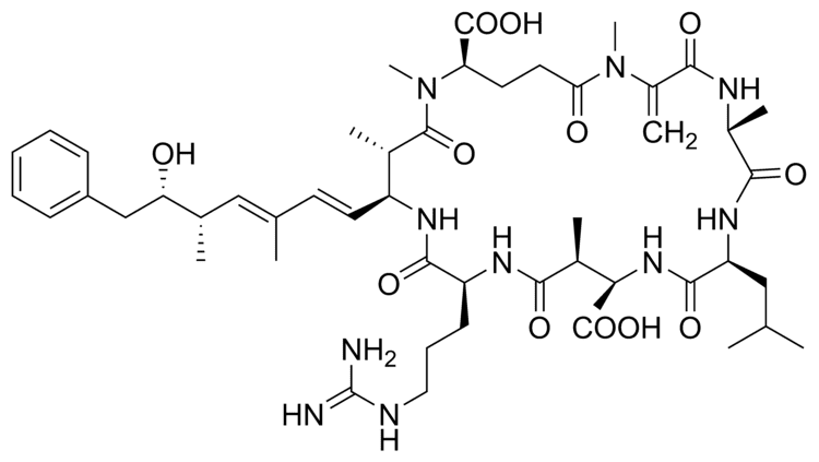 Microcystin Microcystin the hepatotoxin that shut down Toledo39s water supply