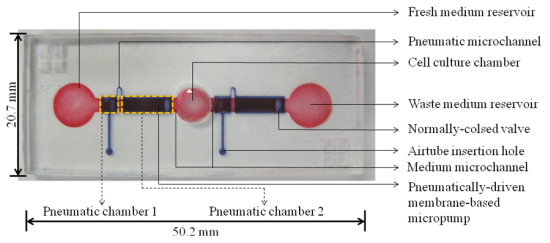 Microfluidic cell culture Sensors Free FullText Development of an Integrated Microfluidic