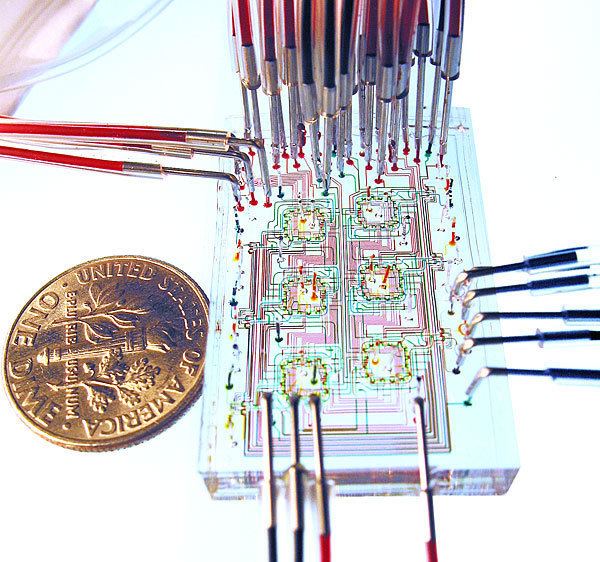 Microfluidics Microfluidic39 chips may accelerate biomedical research